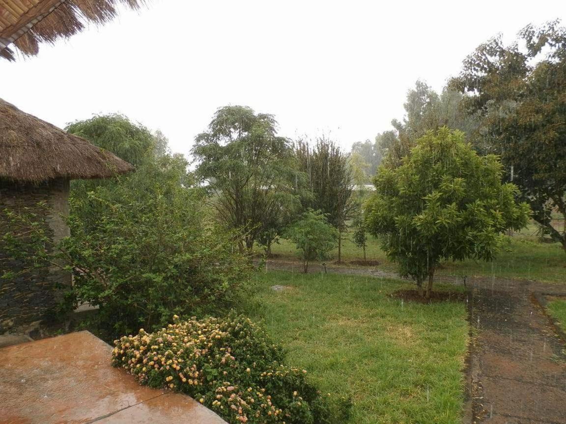 Mayleko Lodge Gondar Bagian luar foto